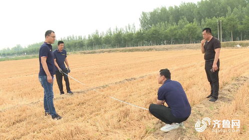 平原县推广新型机械化免耕播种技术 单日作业量可达400亩