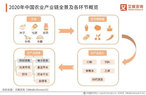 农林牧渔暴涨3.59 反弹还是反转 能买吗 一文读懂核心逻辑